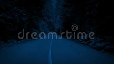 夜间沿着树状道路滑行