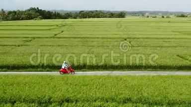 摩托车司机骑在稻田上。 户外拍摄，乡村景观.. 旅游和体育摄影。 速度