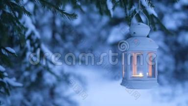 树林里的圣诞灯笼。 雪林和灯笼