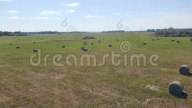 一片广阔的田野，上面有一卷干草。