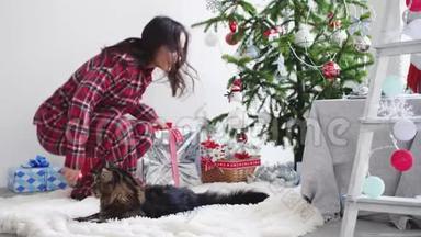 快乐的黑发女孩来到圣诞树上，和缅因州的猫玩，在圣诞彩带上释放礼物