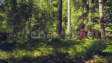 一个背着背包的女<strong>游客</strong>穿过<strong>森林</strong>。