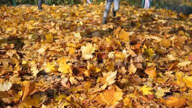一个<strong>小女孩奔跑</strong>，掉进一堆黄叶里，快乐，幸福，一个温暖的秋日。