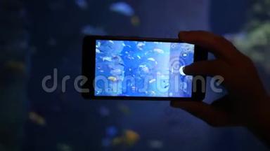 水下世界在手机屏幕上，手工制作一张与不同外来鱼类的照片