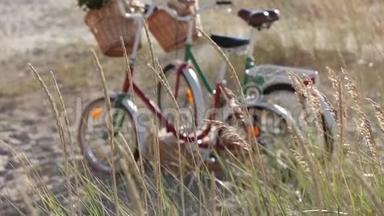 老式自行车带着<strong>花篮</strong>站在海边的田野里