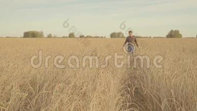 年轻人走在金色的麦田里，摸着成熟的麦穗