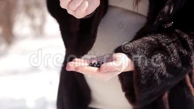 在白雪皑皑的草地上，女孩一只手牵着一只手，冬天的浆果滚滚而下
