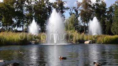 湖泊碎片，在国家公园的梅<strong>日</strong>希里亚公园附近基辅。