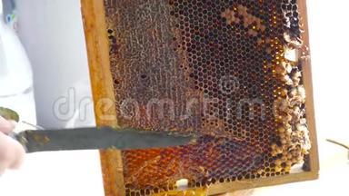充满流动蜂蜜的细胞。