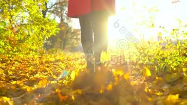 一个穿着黑色靴子的女人的腿穿过秋天的森林，黄色的叶子飞来飞去。 慢动作