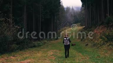 镜头跟随年轻女孩徒步旅行者走在户外的背景森林景观与<strong>高大</strong>的<strong>树木</strong>在山上。