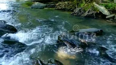 佐治亚州，索普溪，夏天，一条近水流过索普溪上的岩石