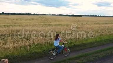 女孩和一个男人骑自行车沿着麦田。 和<strong>家人一起</strong>骑自行车旅行。 从高处<strong>看</strong>美丽的风景
