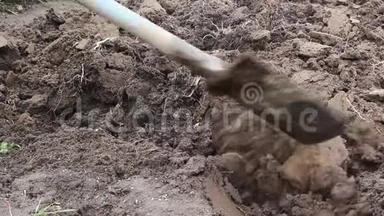 深挖泥土。 准备种植蔬菜