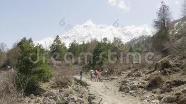带着导游的游客正在尼泊尔马纳斯鲁地区喜马拉雅山徒步旅行。