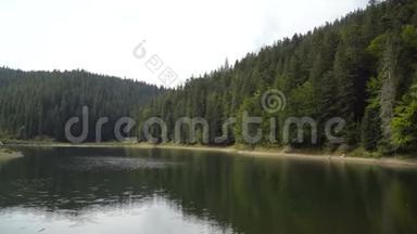 雪奈维尔高原湖泊和森林在夏日的平静水中反映出来。 4k视频