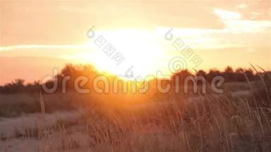 田野里美丽的夏日夕阳.. 五彩缤纷的夕阳在田野里，风在夕阳下搅动着草地