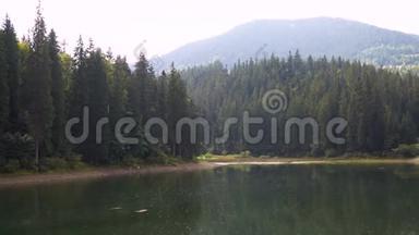 雪奈维尔高原湖泊和森林在夏日的平静水中反映出来。 4k视频