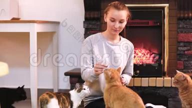 有只可爱的猫在壁炉旁休息的女人。 很多猫。 单身女人少女猫女
