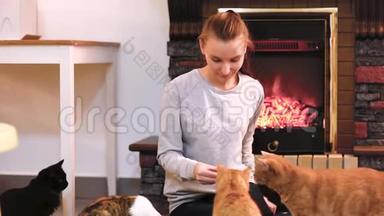 有只可爱的猫在壁炉旁休息的女人。 很多猫。 单身女人少女猫女