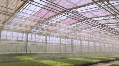 温室内植物自动浇水系统，现代温室内灌溉灌溉系统。 这就是