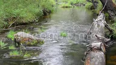 溪淡水自然场景.. 山地淡水溪自然景观