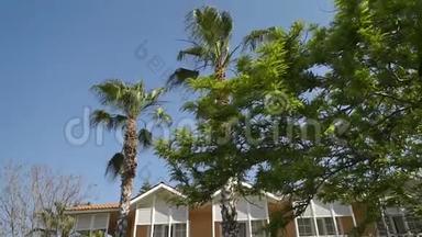 高大的棕榈树生长在黄色建筑的背景上。 全景从下到上..