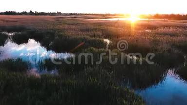 飞过一个美丽的湖。 湖面上的日落。 芦苇丛。 鸟儿在日落时飞向太阳。 东正教教堂