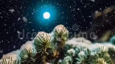 一个月亮的<strong>夜晚</strong>，冬天森林里柔和的降雪，一个美丽的<strong>夜晚</strong>，冬天的的冬季景观，视频
