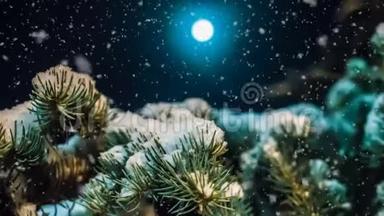 一个月亮的夜晚，冬天森林里柔和的降雪，一个美丽的夜晚，冬天的的冬季景观，视频