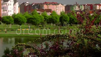 美丽的德国村庄景色.. 绿色广场上有一个湖泊和城市景观。 湖边绿树成荫