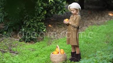 微笑的园丁女孩手里拿着橘子收获。 在花园里捡橘子