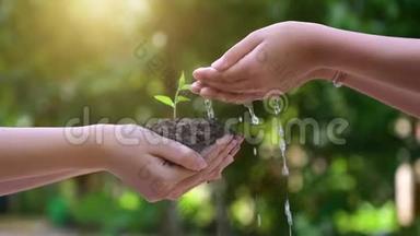 人们正在<strong>手中</strong>种植和浇水植物。 有树木，有保护自然和环境的想法
