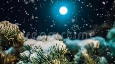 一个月亮的夜晚，冬天森林里柔和的降雪，一个美丽的夜晚，冬天的的冬季景观，视频