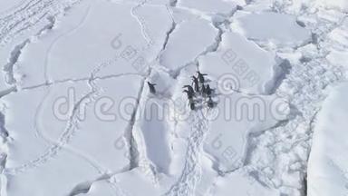 企鹅跳跃南极陆地鸟瞰图