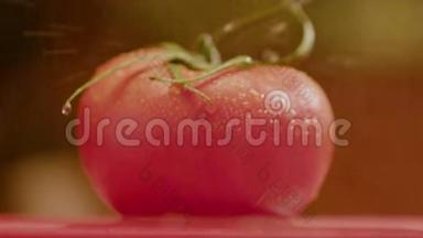 小水滴滴在美丽的番茄上