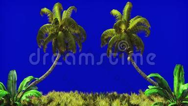 蓝<strong>屏风</strong>中棕榈树和热带植物的枝条。 美丽的夏天循环的背景。
