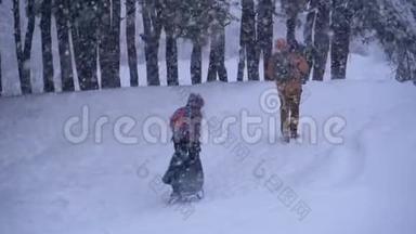 <strong>一家人</strong>的爸爸，妈妈，小儿子和<strong>女儿</strong>骑着雪橇在松树林里下雪。 慢动作