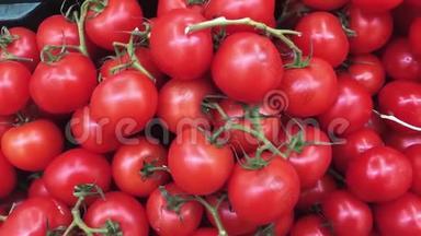蔬菜市场上有许多完美的西红柿。 超市摊上的新鲜红番茄