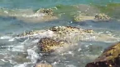 海浪溅在大海滩上覆盖着贝壳的大石头上。 岩石海滩上有泡沫破裂的海浪。