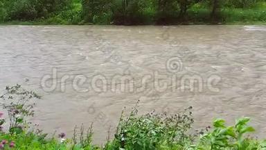 快速山河的缓慢运动.. 240fps。 在雨天，河里的水是棕色的，而且在快速移动