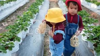 可爱的孩子们兄弟姐妹正在有机草莓农场采摘<strong>红色</strong>成熟浆果。 假期<strong>儿童</strong>户外活动