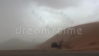 风在沙丘上掀起一阵沙尘暴