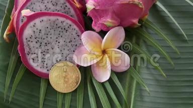 两种新鲜的异国情调的泰国热<strong>带</strong>龙果，也被称为皮塔亚斯，<strong>带</strong>有数字加密<strong>货</strong>币比特币。