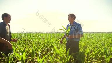 玉米两个农民迎接手合同走过他的田地走向相机。 慢动作视频。 农民