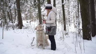 大自然中的<strong>宠物</strong>-一只美丽的金毛猎犬在冬天白雪覆盖的森林里用棍子和<strong>主人</strong>玩耍