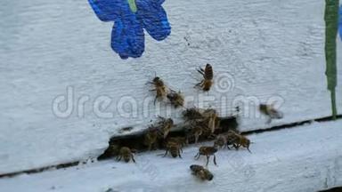 蜜蜂飞出来，飞成白色的蜂巢。 蜜蜂把花蜜转化为蜂蜜。 概念蜂蜜农业