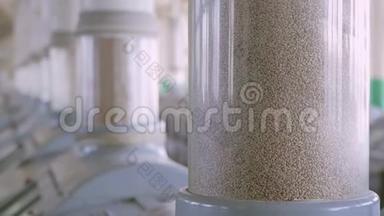 面粉和谷物的制造。 小麦碾磨。 生产小麦粉.. 工厂的小麦粉碾磨设备。