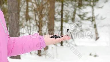 女人手中的鸟`吃种子