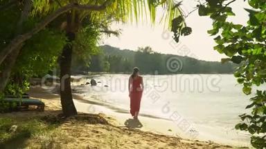 那个女人从令人惊讶的美丽海滩看海洋。 这位美丽的年轻女子在水上花钱。 一种隐私